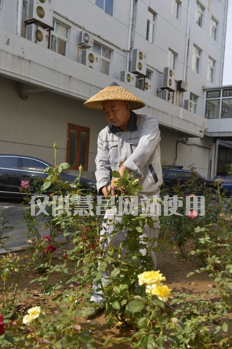 大連園林綠化