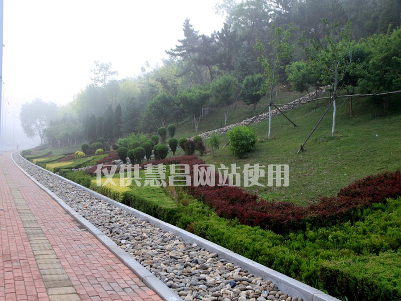 大連園林綠化,園林綠化施工,園林綠化工程,地產(chǎn)綠化工程,園林景觀設(shè)計(jì),景觀設(shè)計(jì),景觀設(shè)計(jì)施工,園林綠化,綠化工程,綠化養(yǎng)護(hù),綠化項(xiàng)目,慧昌園林,地產(chǎn)工程施工,地產(chǎn)工程綠化,地產(chǎn)工程,園林養(yǎng)護(hù),大連綠化,苗木培育,苗木養(yǎng)護(hù)